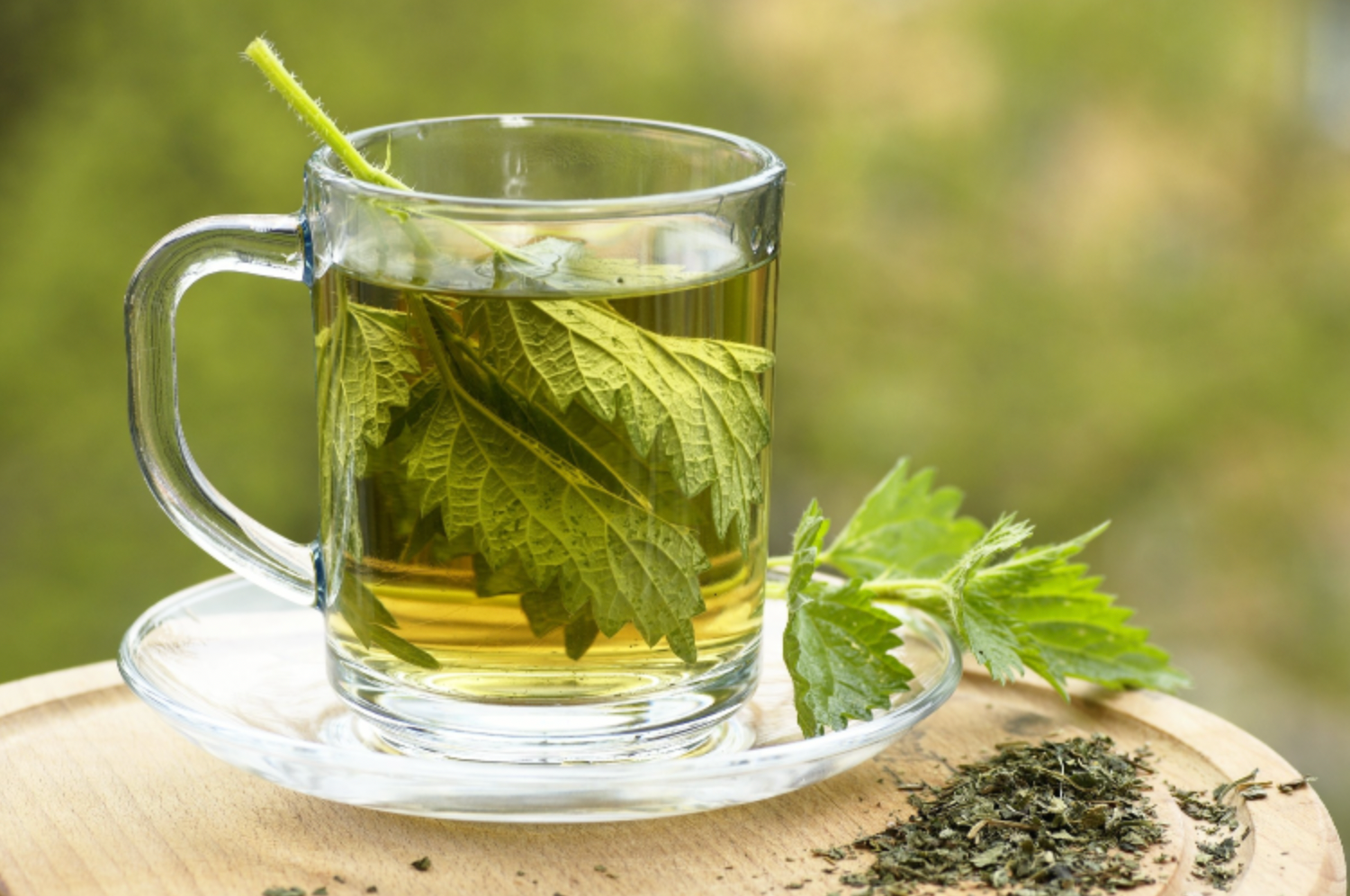 Stinging Nettle Leaf Tea