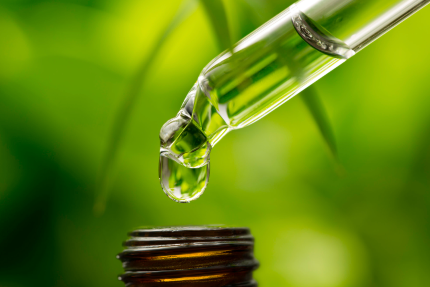 Nettle Leaf Tincture