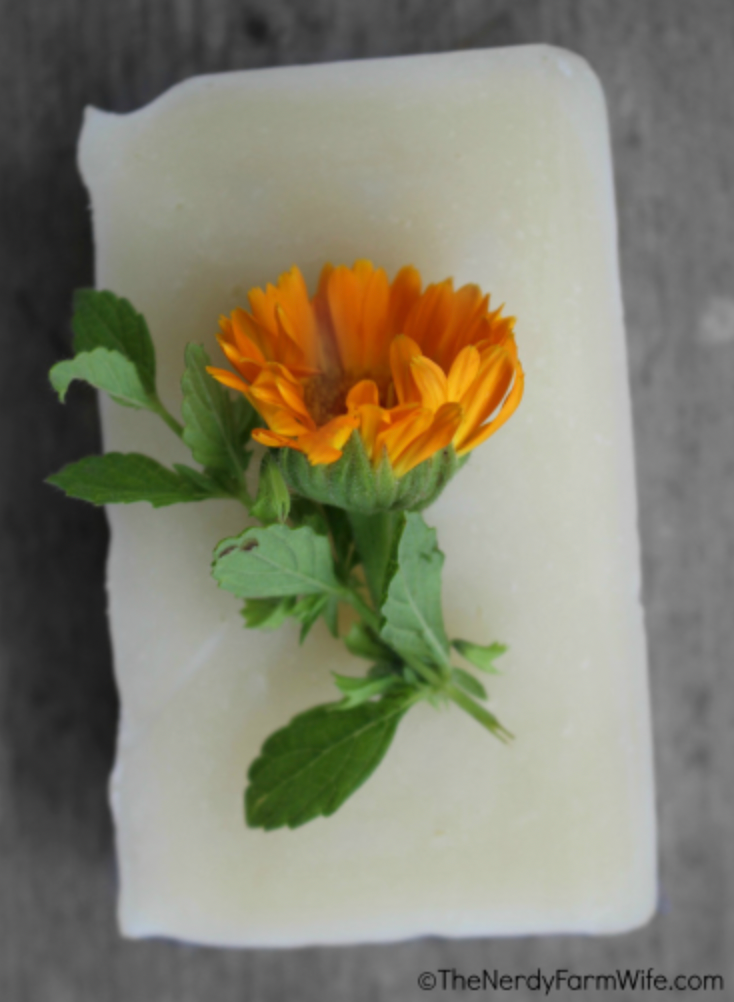Calendula Soap