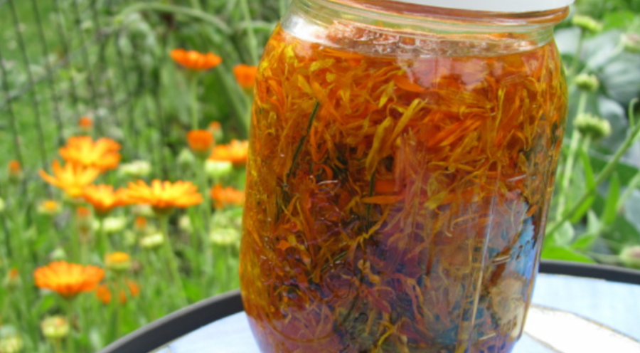 Calendula Oil Scented with Lavender