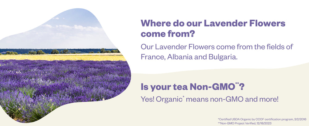 Lavender Flowers - Whole