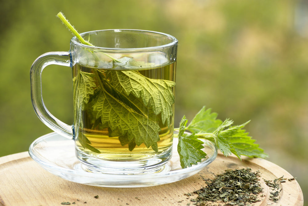 Nettle Leaf - Cut & Sifted