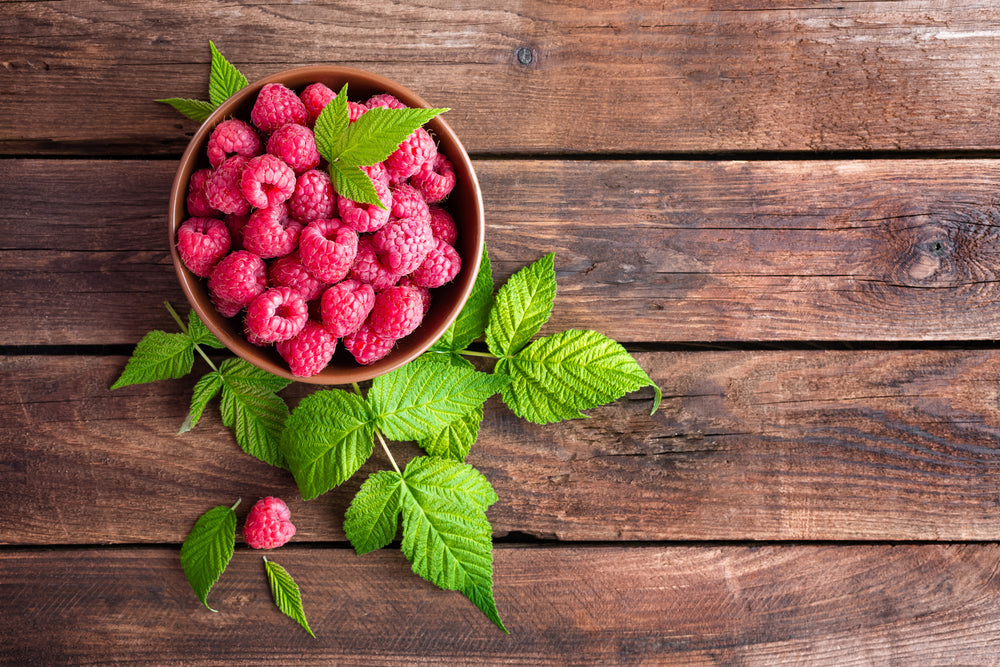 Raspberry Leaf - Cut & Sifted