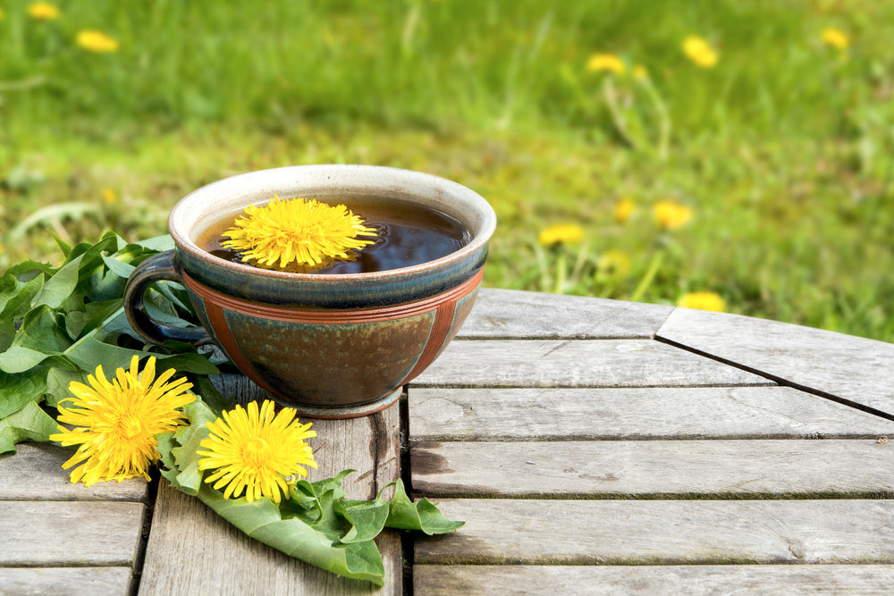 Dandelion Root - Cut & Sifted