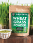 Whole leaf wheatgrass powder in a bowl.