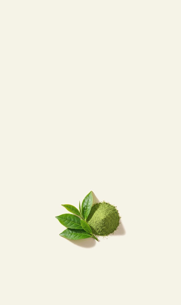 Fresh tea leaves beside a mound of matcha powder on cream