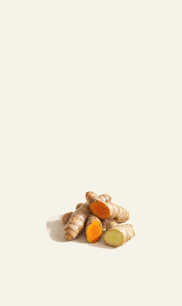 Fresh turmeric and ginger root on cream